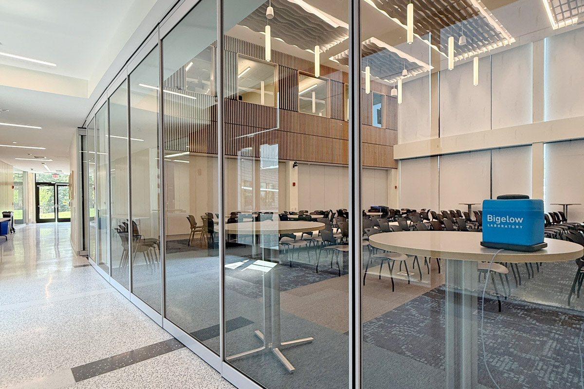 Looking inside the Burgess Forum from the hallway.